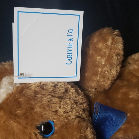 Carlyle & Co. NWT Zippered Tummy Teddy Bear - Picture 6 of 6